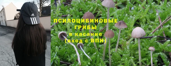 mix Абинск