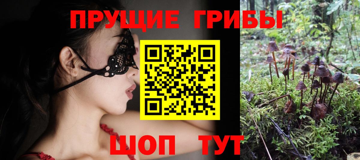 Псилоцибиновые грибы Psilocybine cubensis  Вход с VPN  Тулун 